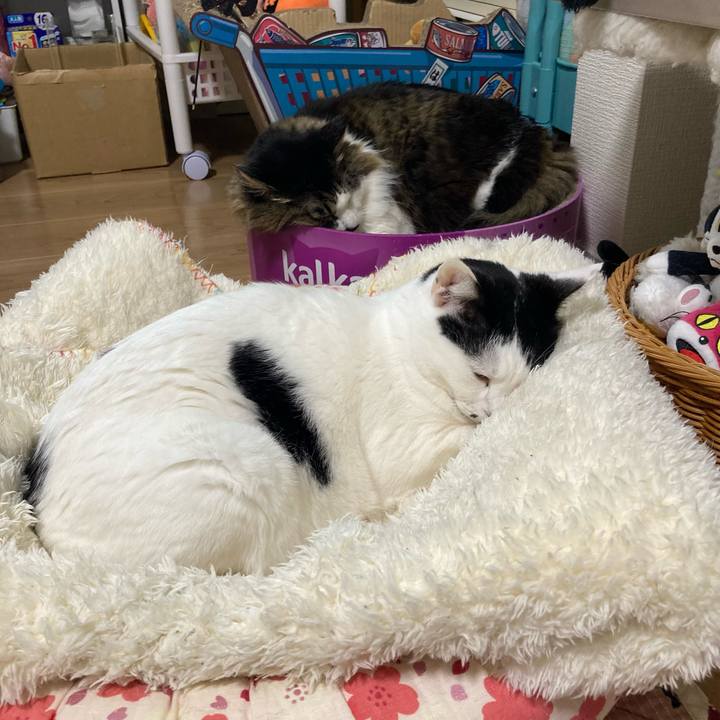 12e78040 ff7d 4936 8ba7 0917ead31270 1771157761564