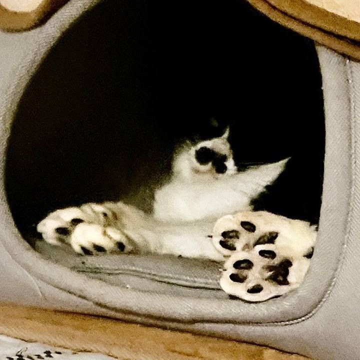 12e786f0 2a6b 4d2d a0ac 8b7cd5114370 1679271031648