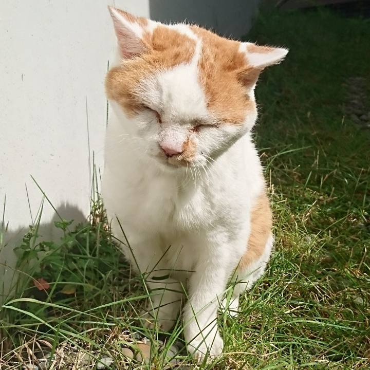 12e7ea9b d6f2 46ad 8e84 46c437b21d5b 1660443608024