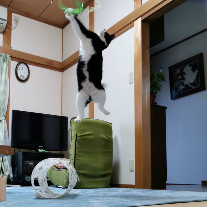 12e7f212 9b42 4d42 bf31 7bf971ca1d6c 1637811492939