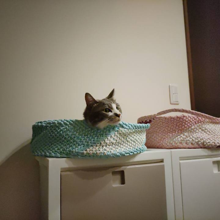 12e81096 ac6b 4c0a 802e 4f5e421738b7 1660298775910