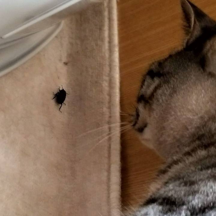 12e81bc9 1d3f 4bfc 913c 6b7dbca5a3f4 1689825877938