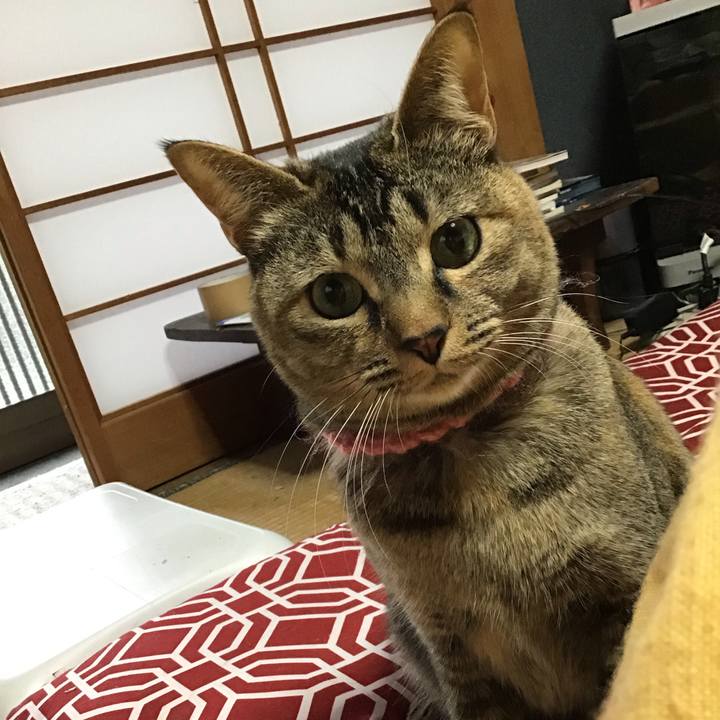 12e81faa b85d 4b0a 9bbe c4bc7d4c64a8 1615100396920