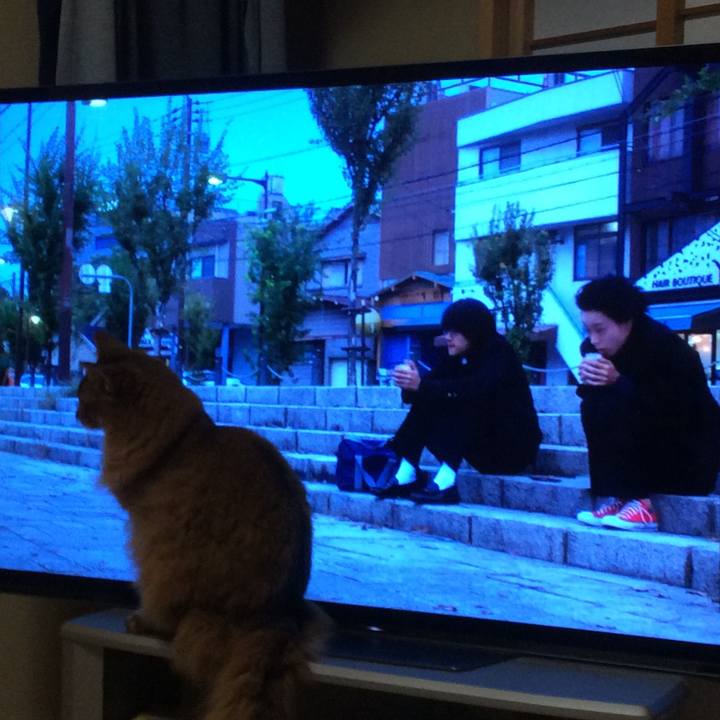 12e83d39 11fb 484d a5b9 f855289f4a80 1606650539473