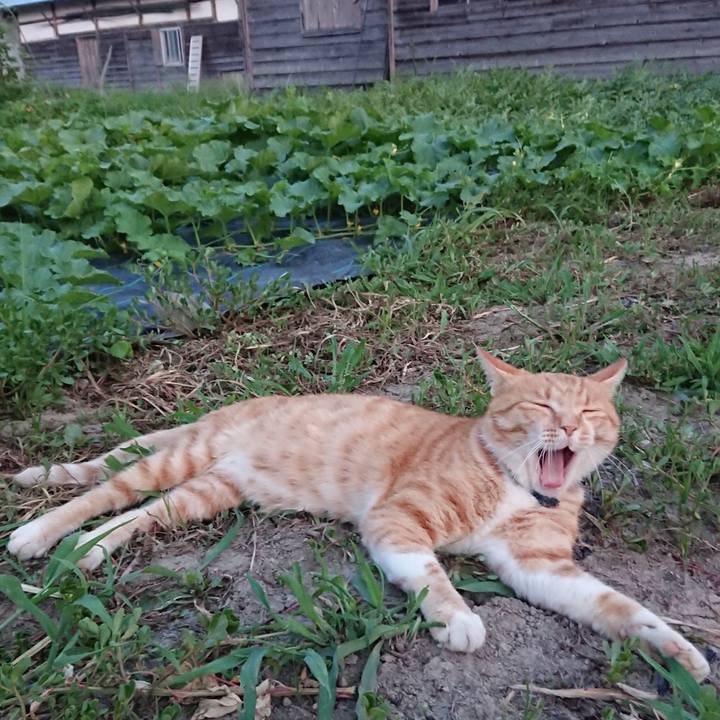 12e84c3b 4e80 442d afc2 32d35d154194 1565085411939