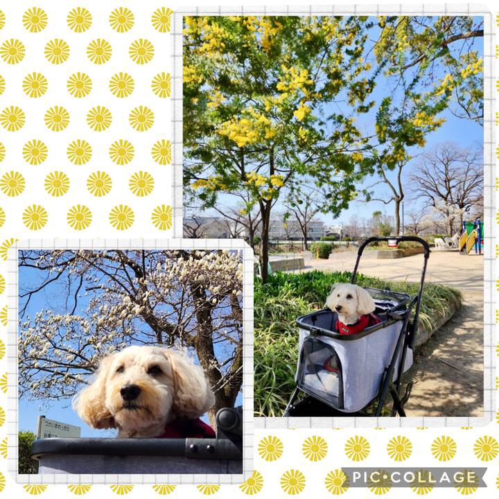 12e87184 a5fd 4bb5 8801 b6c79947be75 1772770389889