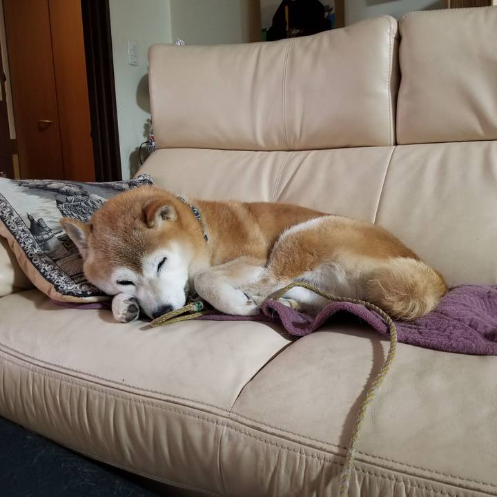 12e87ef0 2532 4b3a 84d0 c4d2ffdf3f25 1703978005148