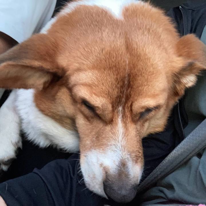 12e8a90b 313c 407a 9c00 64a3f7531cdb 1723862971973