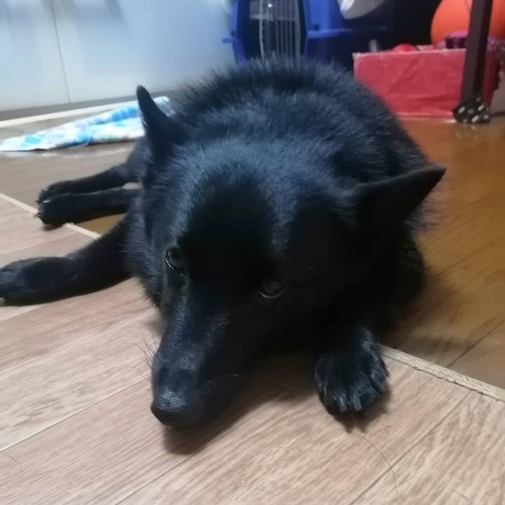 12e8d23c bd3f 453d a94b 7234615daee3 1629156339564