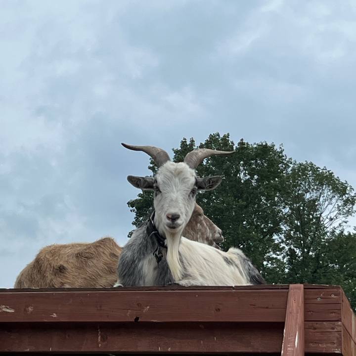 12e903d9 05bd 4cc6 8f2f 3a5b0490482c 1726607224071