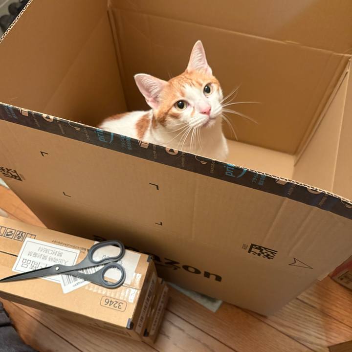 12e92932 2a44 48b0 89cc e158db2015ac 1763350526107