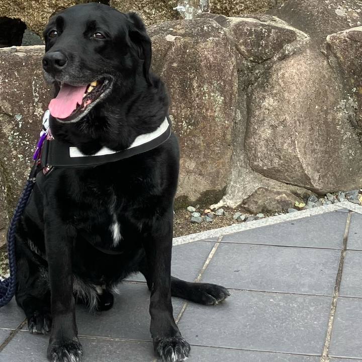 12e931d9 61c5 4df1 ae05 7f4b0d7baddf 1752893636124