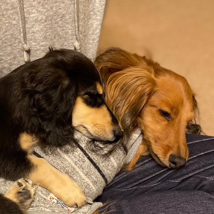 12e93d54 63b1 40a5 81b1 0b0697fc0c2a 1669588399584