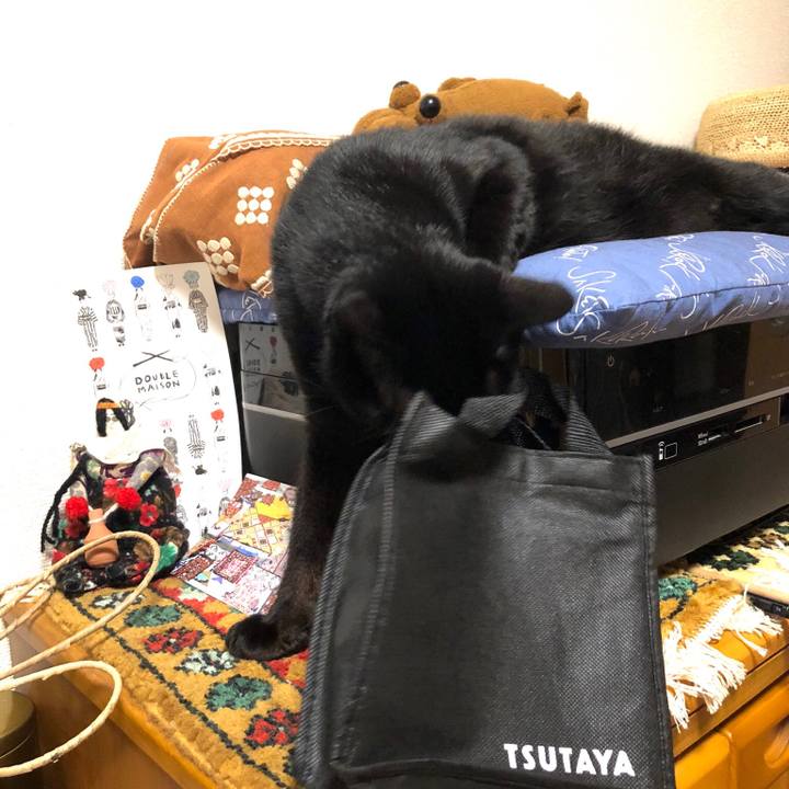 12e9467d 4363 4f4d b1bc 1b80d44e6963 1531242461218