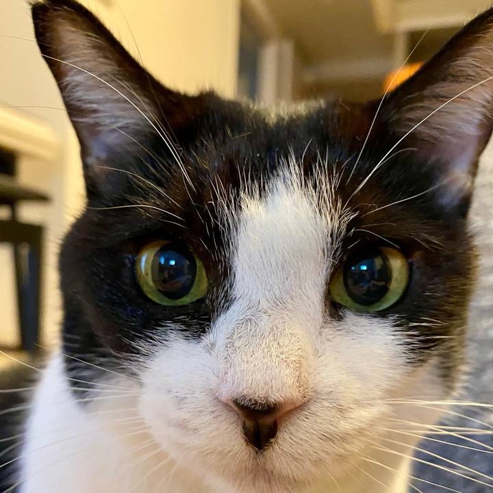 12e94a11 615d 447c b438 ba01613ddc59 1731760745247