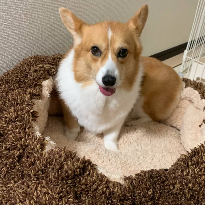 12e992a8 e0d7 44c6 b6fb a3ccfa65ed84 1602127946805