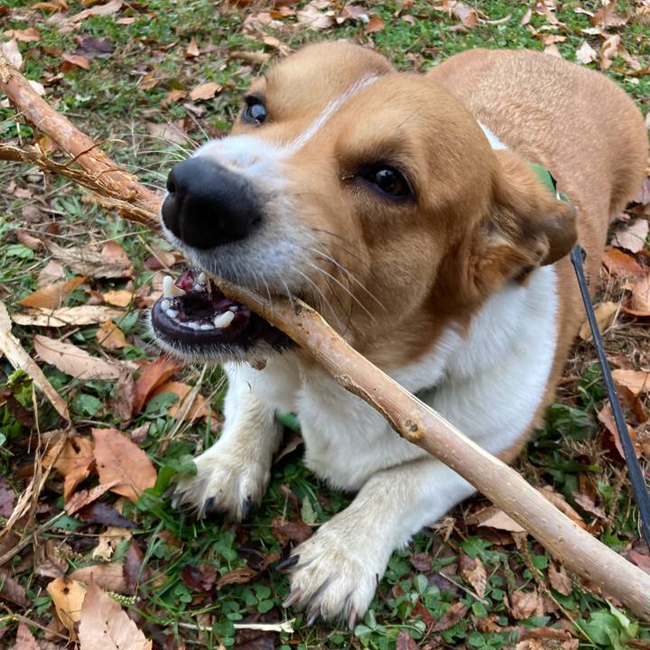 12e9a1ef ceaf 42a0 ab4f f465cf35b18e 1704853690195