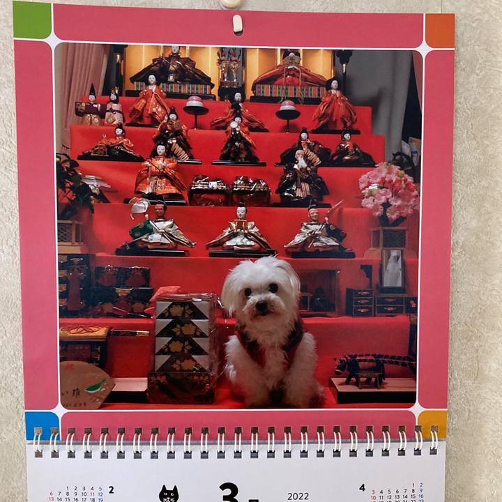 12e9c40f 2b00 4373 9631 0f24476f226c 1646294634514