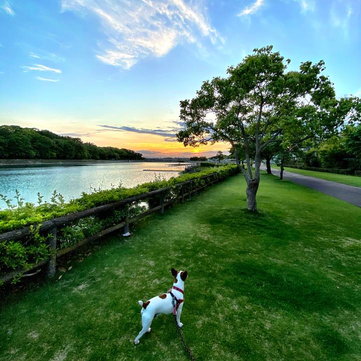 12ea5d93 c15e 4113 96be 2695505d1c6d 1590319136382