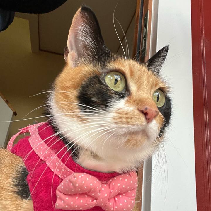 12ea9699 661f 4734 a022 f4bc62e05331 1671063898078