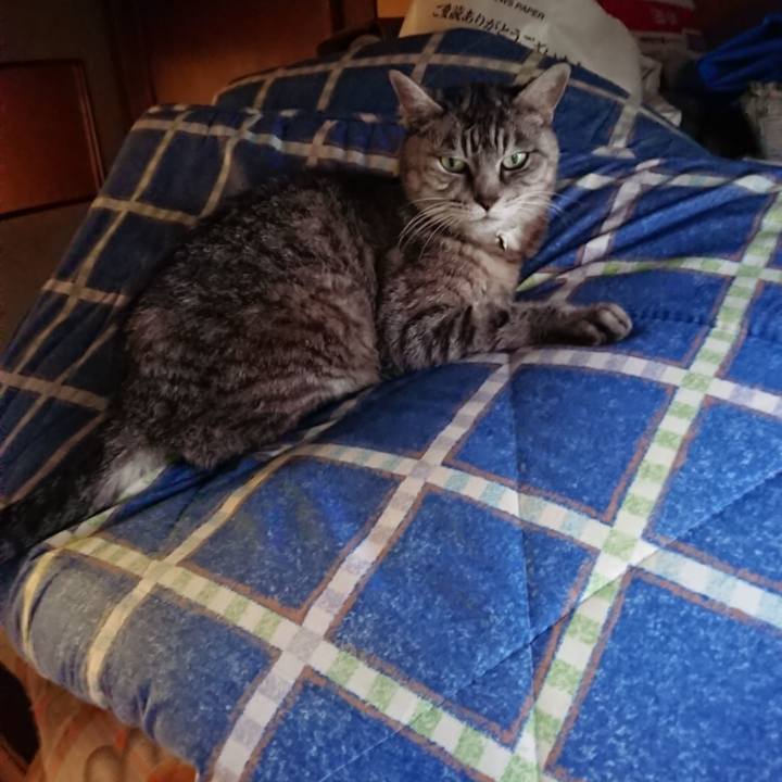 12ea9a76 82ac 4366 8914 e113ee90192b 1570263640113