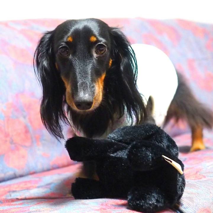 12eac93f 624b 41c9 a166 8da24ccc79f0 1512443828832