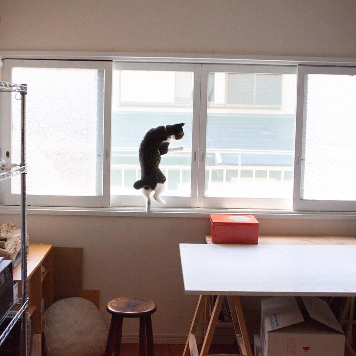 12eae459 3e49 427b 82cc a98617620d6a 1561603506800