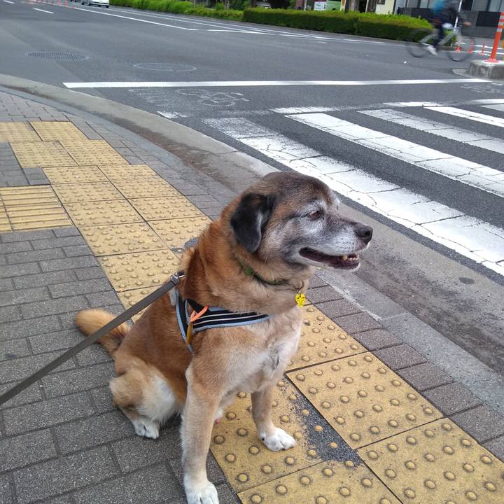 12eb6d5e 4173 40fb be20 a4c0f60a35ff 1560335460363