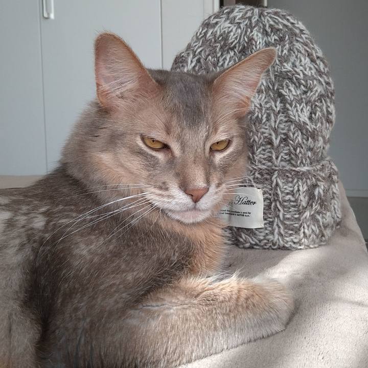 12eb825c 2ccb 4010 b78a 09ddf723e628 1612674681158