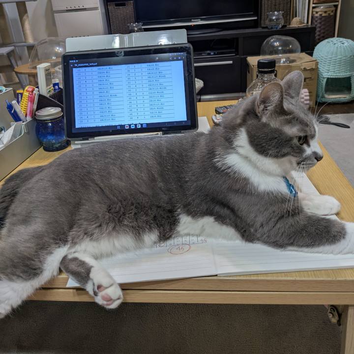 12eb954a 13fa 4086 85cd 14d1ba3189a6 1759223451165