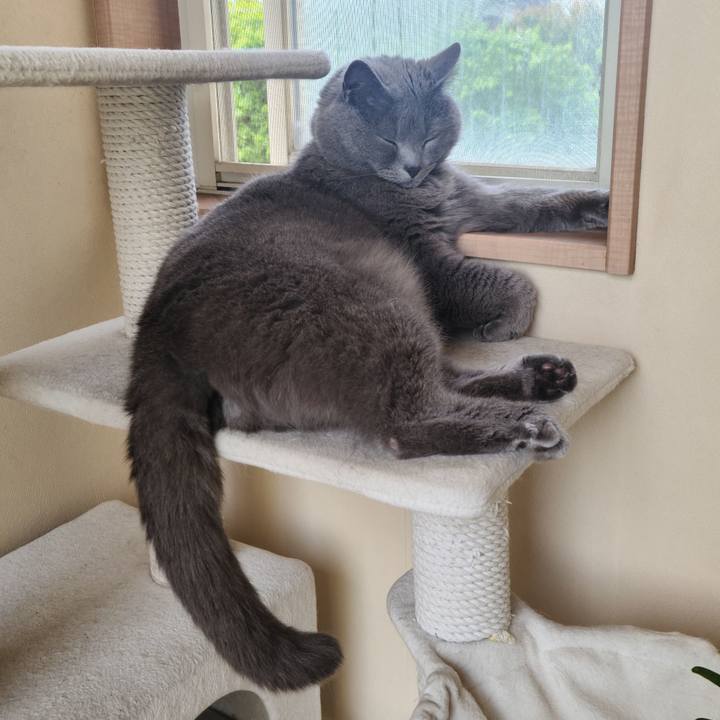 12eb97d0 f709 4f48 b086 f84f68fe53d5 1651042006494