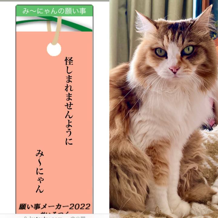 12eb9b8d 63ae 433f b130 f3a8a1411d20 1657057384482