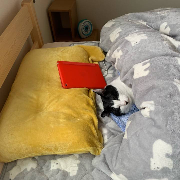 12ebaacc 8fd3 4c06 acc0 a7eadbc4fda8 1668910223724