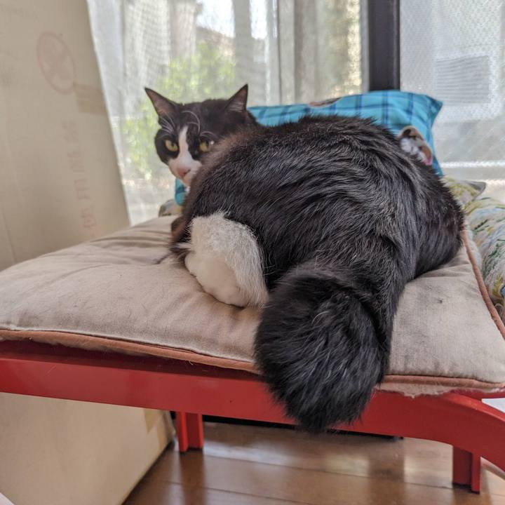 12ebfa4e 2465 4f49 a8a6 78caaa0f081b 1717840248351