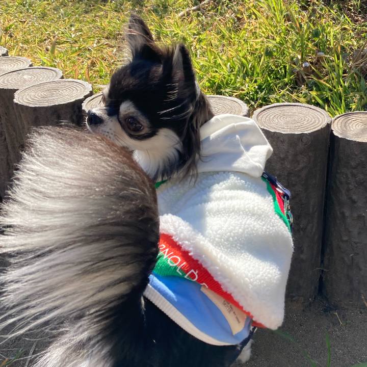 12ec20f1 3743 4e1b 8b01 ebdfd2b4c74c 1644036634716