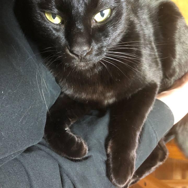 12ec35a2 371a 4b3c 9c71 ba1443f775c1 1703753689312