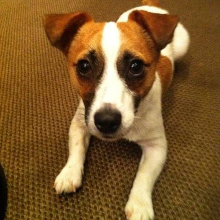 12ec6a2e 0dfa 468d 8ff3 5b3889ce213b 1653956507219