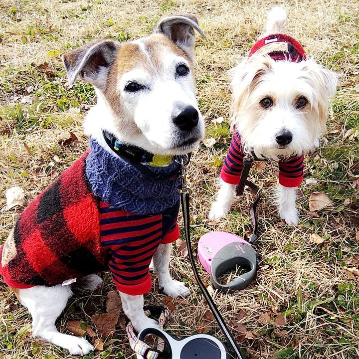 12ec73d3 a689 4b1f 95ed 1df541b73aa5 1579412501398