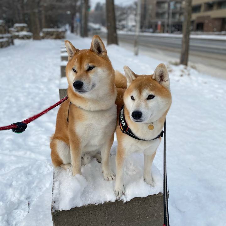 12ec7a5a 4806 4162 8037 c1152d40b0f2 1609126922955