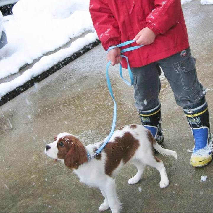 12eca035 bb05 466b 8d3c 369ee62c6200 1619156278180