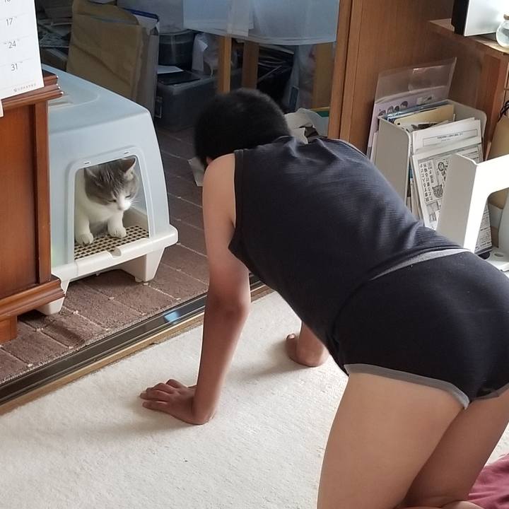 12ecc1ad 1c64 4e4c 81cc 1496c3fbe4d4 1565156052430