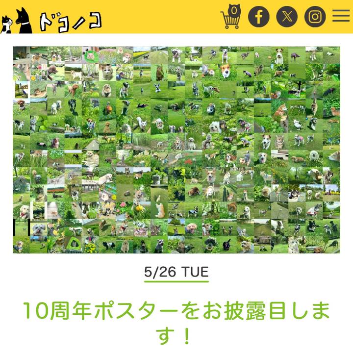 12ed78f7 bc90 4184 ae29 decf404c1b97 1779878180349
