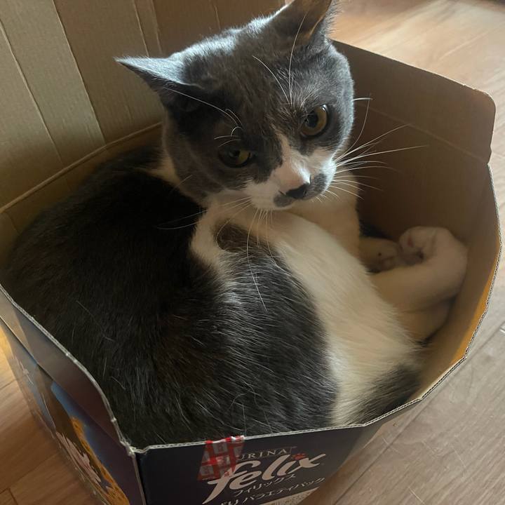 12ed9a31 2c79 4ab0 8b56 879d8f4046ff 1634099334436