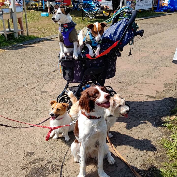 12eda087 1d71 4195 a678 9463fb307e28 1651674548685