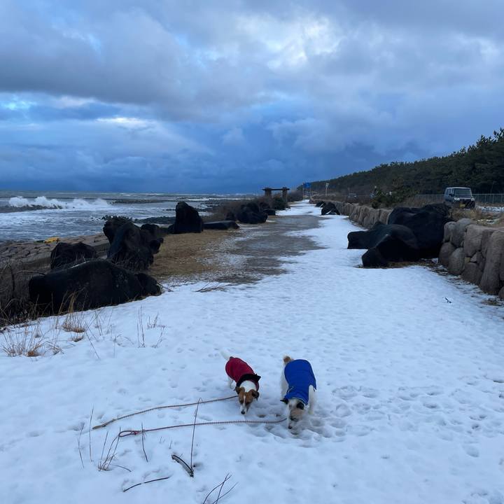 12ede782 76ea 4126 aae0 00e8cb299e31 1642558350060