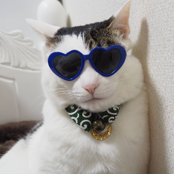 12ee2084 4001 4d7c b459 3e4c55756390 1520761751818