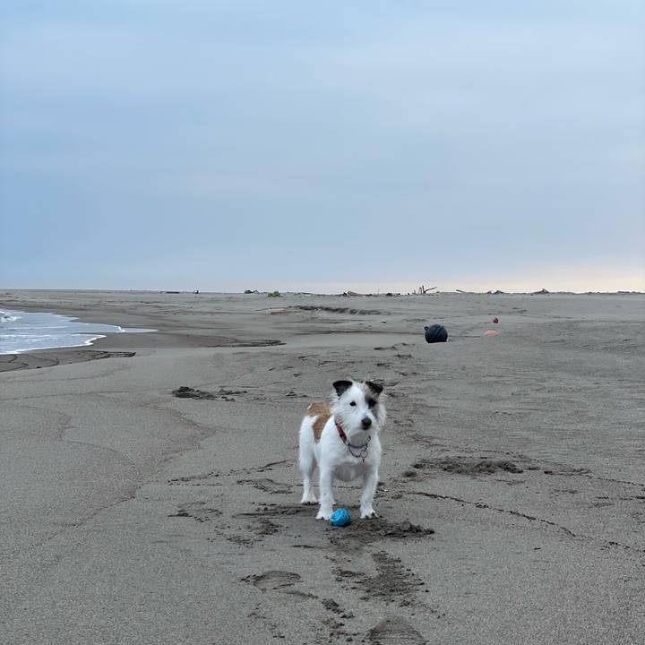 12ee3b26 166c 4c0a 9cbe 3a741dc5a069 1615847213747