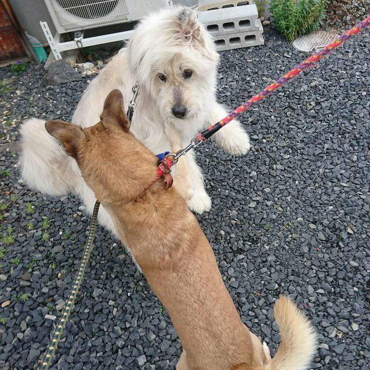 12ee3c95 52d2 4ba6 9e2e fe5e1001677a 1589887225803