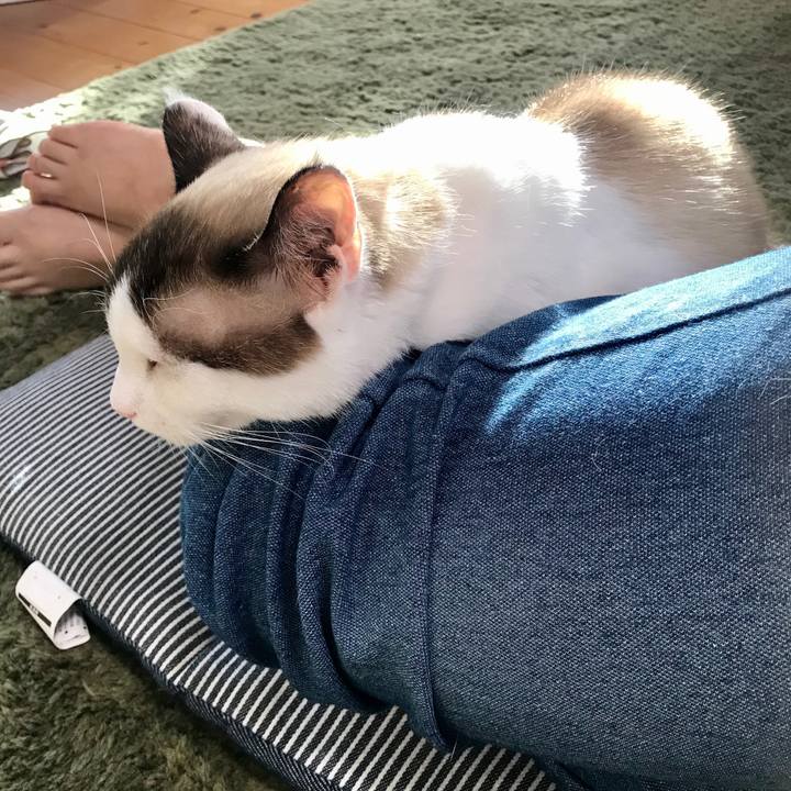 12ee6705 1ea9 454a a1b6 e579df5f5de7 1598924187492