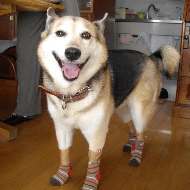 12ef1302 56be 4cd7 9113 92757320c4f0 1768029724840